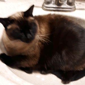 Meet your Posher, Shawn